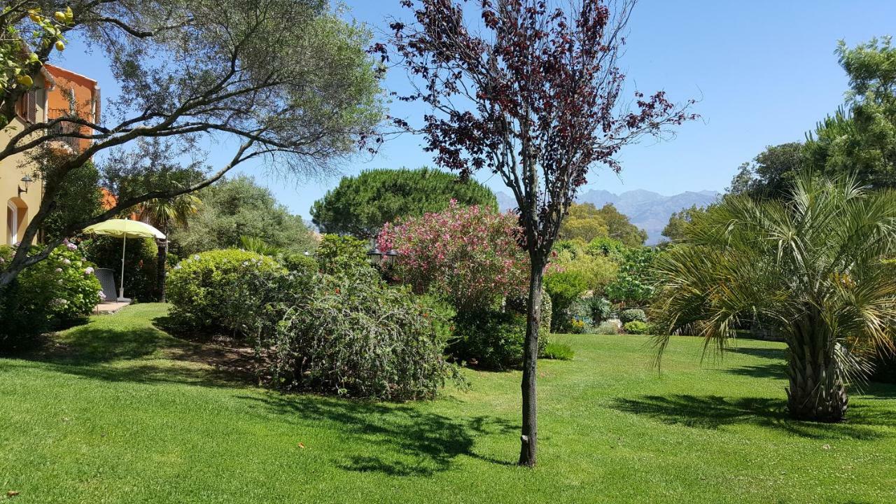 Residence A Merula Calvi  Zewnętrze zdjęcie
